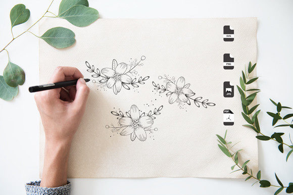 A Designer's Practical Review of the Minimal Botanical Set
