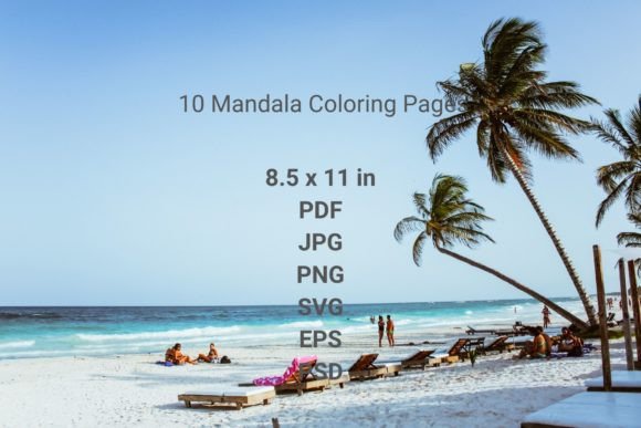 A Designer's Review: Mandala Graphics for Small Business Branding