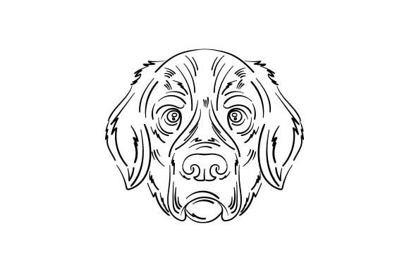 Golden Retriever Craft Asset Review: Beyond Coloring Pages