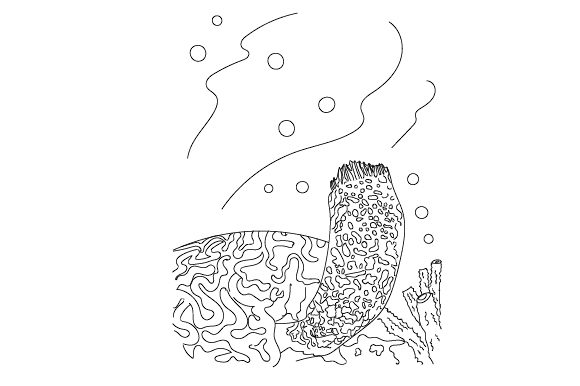 Sponge Coloring Page: A Designer’s Review for Kids Crafts