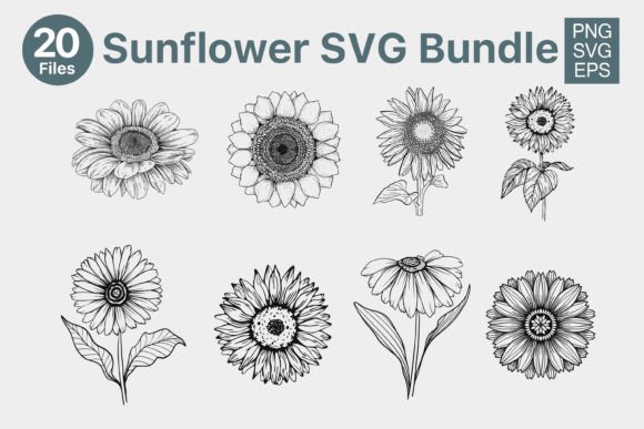 Sunflower Graphics: A Publishing Toolkit Review